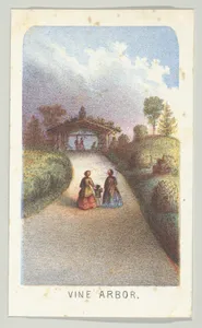 Vine Arbor, from the series, Views in Central Park, New York, Part 3