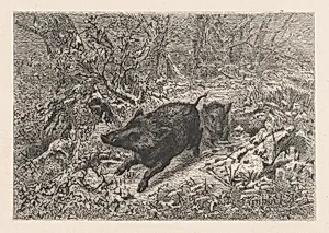 Wild Boar, from "Eaux-Fortes Animaux & Paysages"