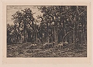 Woman driving a herd of cows