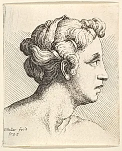 Woman with a bound tress of hair in profile to right by Wenceslaus Hollar