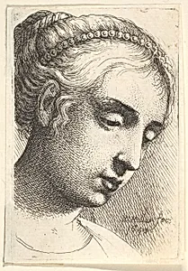 Woman with string of pearls in her hair looking downwards to right by Wenceslaus Hollar
