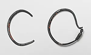 A pair of earrings