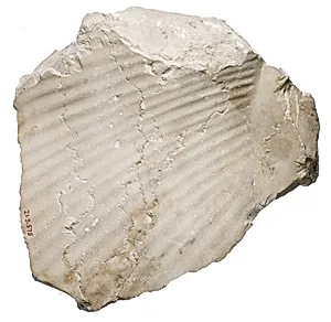 Back of Nefertiti / female