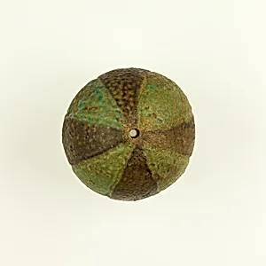Ball bead