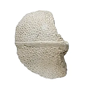 Blue crown from head of Akhenaten