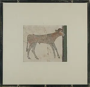 Calf, Tomb of Nebamun and Ipuky