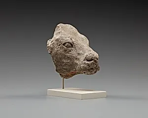 Calf's head