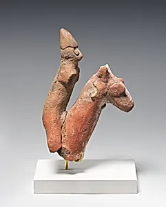 Camel Rider