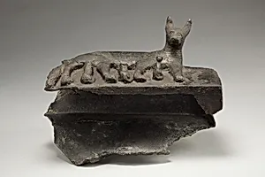 Cat with kittens on damaged box for animal mummy