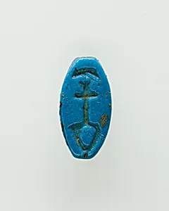Cowroid Inscribed with a Nefer Hieroglyph