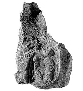 Document Sealing with the Throne Name of Amenhotep III