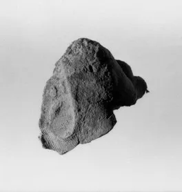 Document Sealing With the Throne Name of Amenhotep III