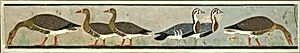 Facsimile Painting of Geese, Tomb of Nefermaat and Itet by Charles K. Wilkinson