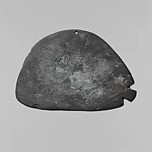 Fish-shaped palette