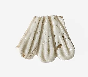 Fragment of a Daisy Bead
