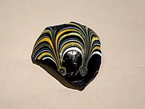 Fragment of a Glass Vase
