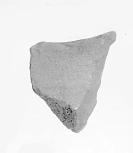Fragment of the Top Surface of Siptah's Canopic Chest