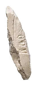 Fragment with Aten cartouche