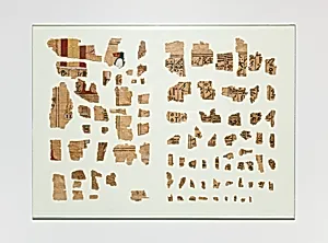 Fragments from a Book of the Dead