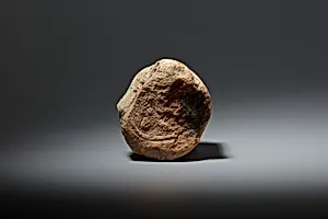 Funerary Cone of the Scribe of the Treasury Senu