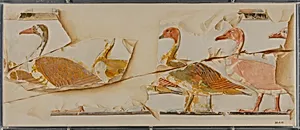 Geese and Ducks