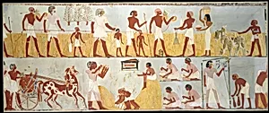 Harvest Scenes, Tomb of Menna