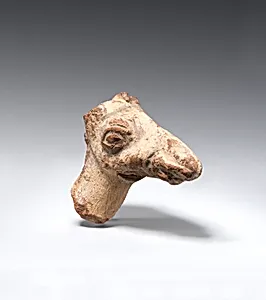 Head of a camel