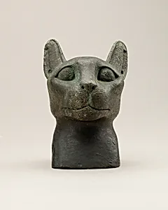 Head of a cat
