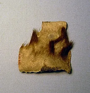 Hide Fragment From Foundation Deposit 2 of Hatshepsut's Valley Temple
