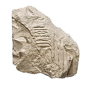 Inscribed fragment, Aten cartouche