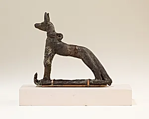 Jackal