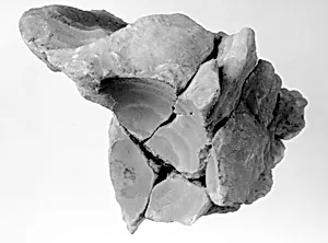 Large Section of the Interior Surface of Siptah's Canopic Chest