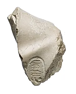 Left shoulder with Aten cartouches, from statue of Akhenaten or Nefertiti with angled forward