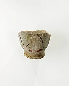 Model cup