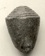 Model shell by Unknown Artist