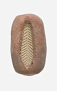 Mold for Leaf Bead