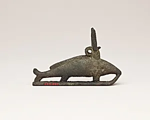 Oxyrhynchus fish