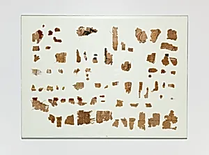 Papyrus fragments from the Book of the Dead of the Scribe Roy