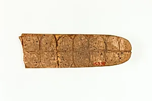 Plaque (?)