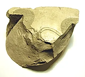 Raised relief fragment