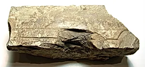 Raised relief fragment