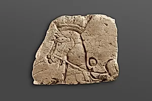 Relief Depicting Heads and Chests of Two Horses