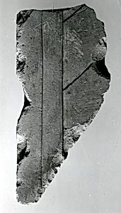 Relief fragment, tomb of Meketre by Unknown Artist