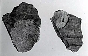 Relief fragment, tomb of Meketre by Unknown Artist