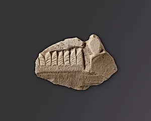 Relief fragment, tomb of Mereri perhaps by Unknown Artist