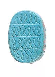 Scarab