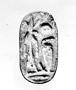 Seal