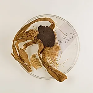 Sealing from vase 30.8.211a