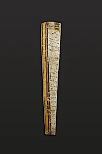 Section cut from back of cartonnage of Tjaisetemneny