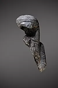 Statuette fragments (8), Ahmose Nefertari